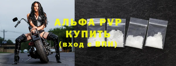амф Пересвет