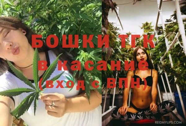 эйфоретик Липки