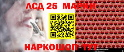 ешки Волгодонск