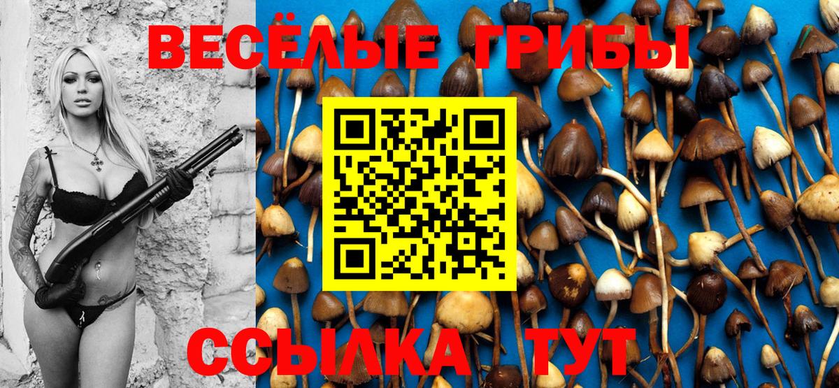 Псилоцибиновые грибы прущие грибы  Псилоцибиновые грибы Magic Shrooms  Елец  Вход с VPN 